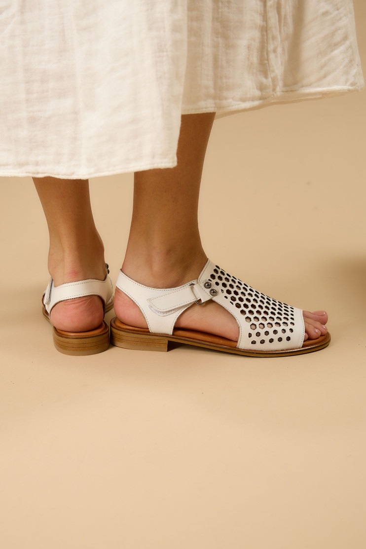 Босоножки Anna Lucci 176972 - Фото 1