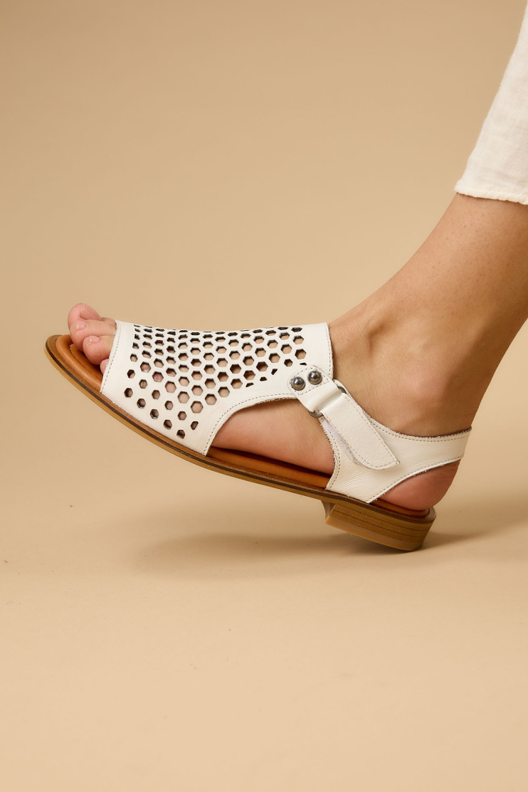 Босоножки Anna Lucci 176972 - Фото 1