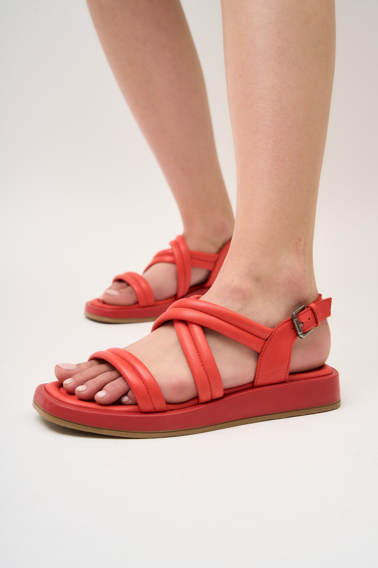 Босоножки Anna Lucci 171170 - Фото 1