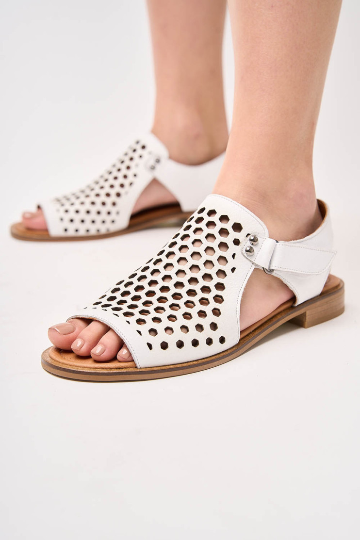 Босоножки Anna Lucci 184667 - Фото 1