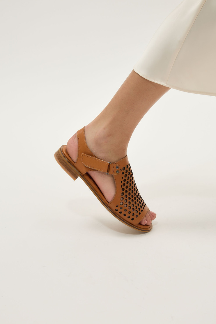 Босоножки Anna Lucci 186195 - Фото 1